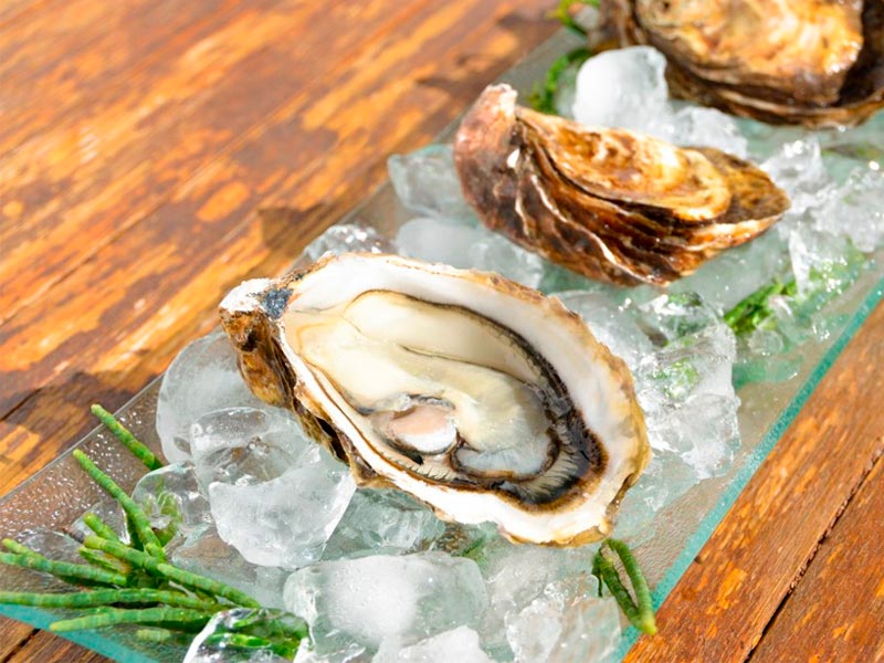 Bar de ostras para tu boda Crea un lujoso catering marino