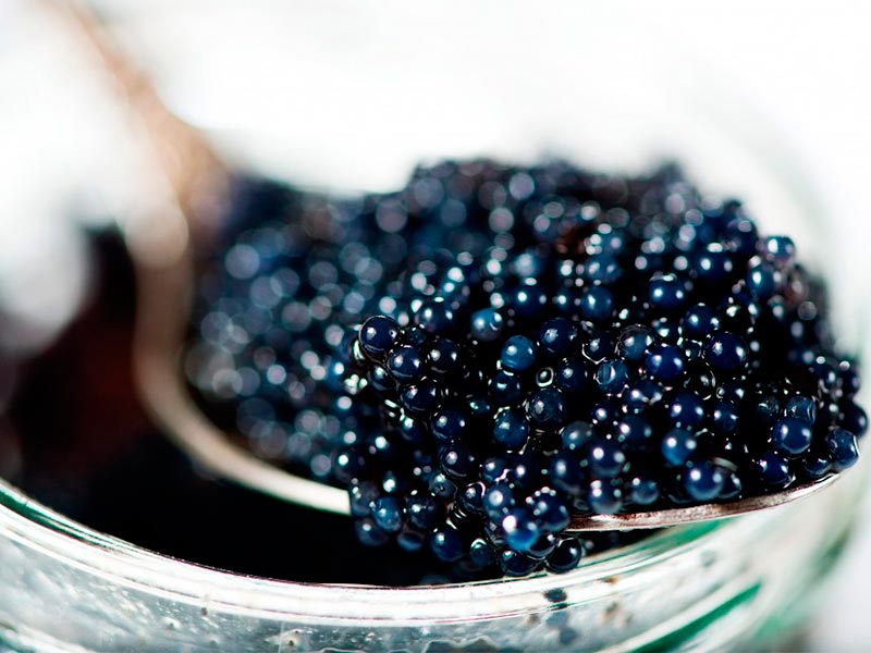 Caviar para servir en la boda Exquisitez en el menú de la ceremonia nupcial