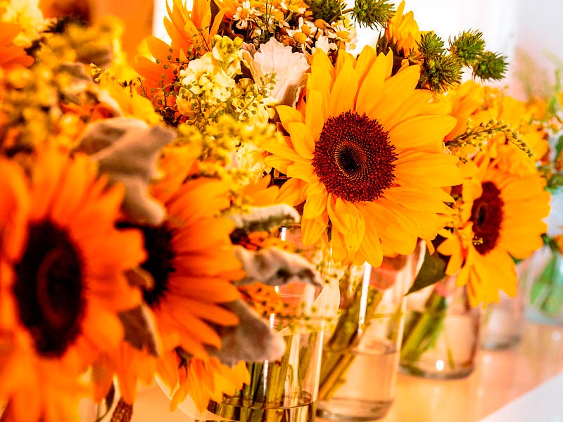 Centros de mesa con girasoles Flor de escudo para decorar en tu boda