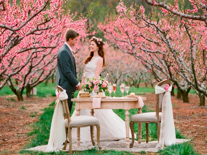 Decoración de boda con cerezos japoneses Llena tu boda de esplendor rosa