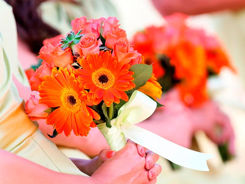 Flores Gerberas para tu boda - Belleza e inocencia en la decoración de tu  fiesta nupcial