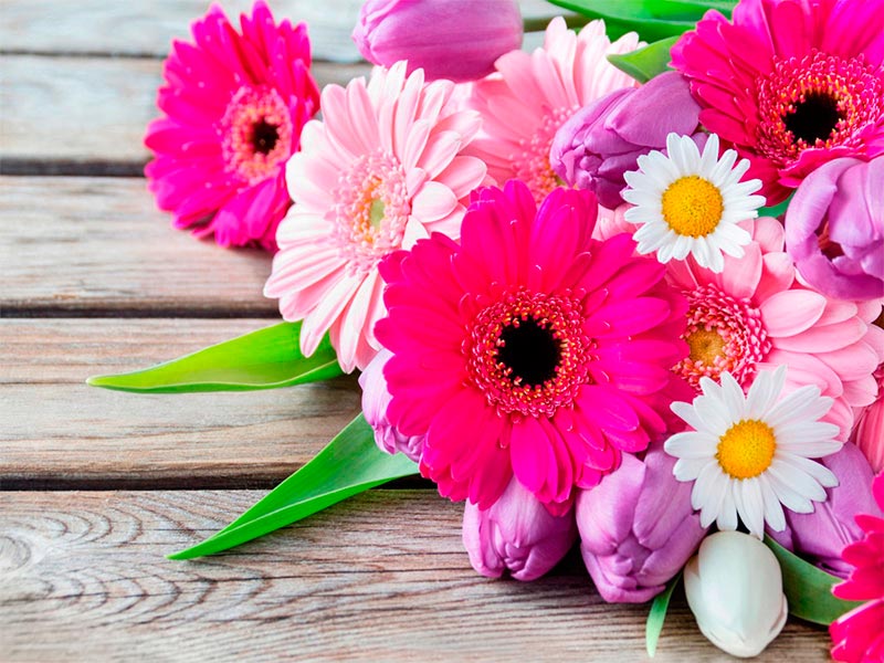 Flores Gerberas para tu boda. Imagen 2