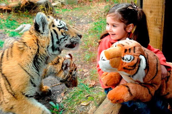 Idea para celebrar el día del niño Día del niño:vamos al zoológico