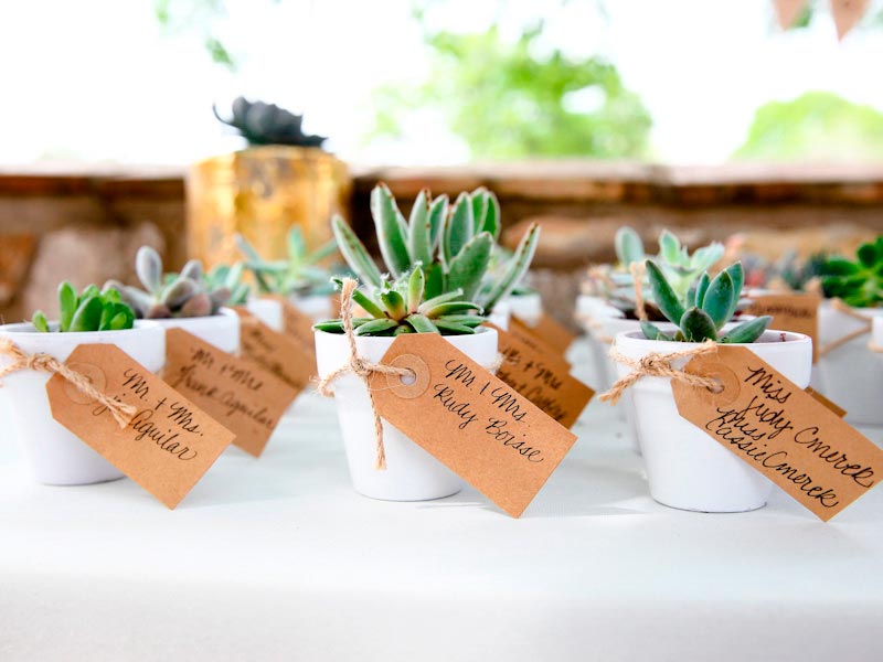 Souvenirs con pequeñas plantas para tu boda Presentes naturales que hacen germinar el amor