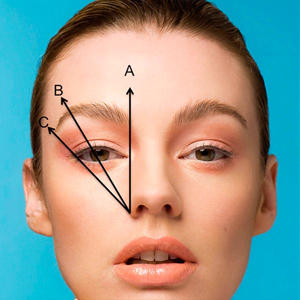 ¡Súper fácil! Aprende a maquillar correctamente tus cejas. Imagen 4